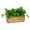 Brown, variant on THYOI Wooden Planter Box, Storage Box 17”L x6”W x5.5”H with Crate Style, Acacia Wood Flower Box, Rustic Rectangle Box Planter for Planting, Decor and Storage - 3 Colors (Golden Walnut)