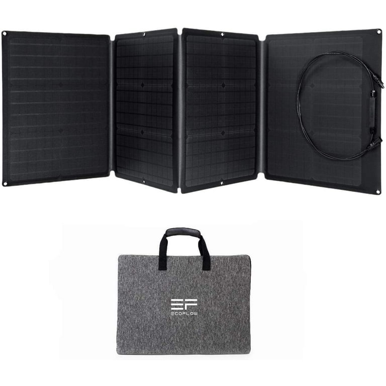 Panneau Solaire Portable EcoFlow 110W — FLV Van