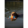 thumbnail image 3 of Pet Flying Squirrel Frisbee Dog Toy Wear-Resistant Bite-Resistant Flying Disc, 3 of 4