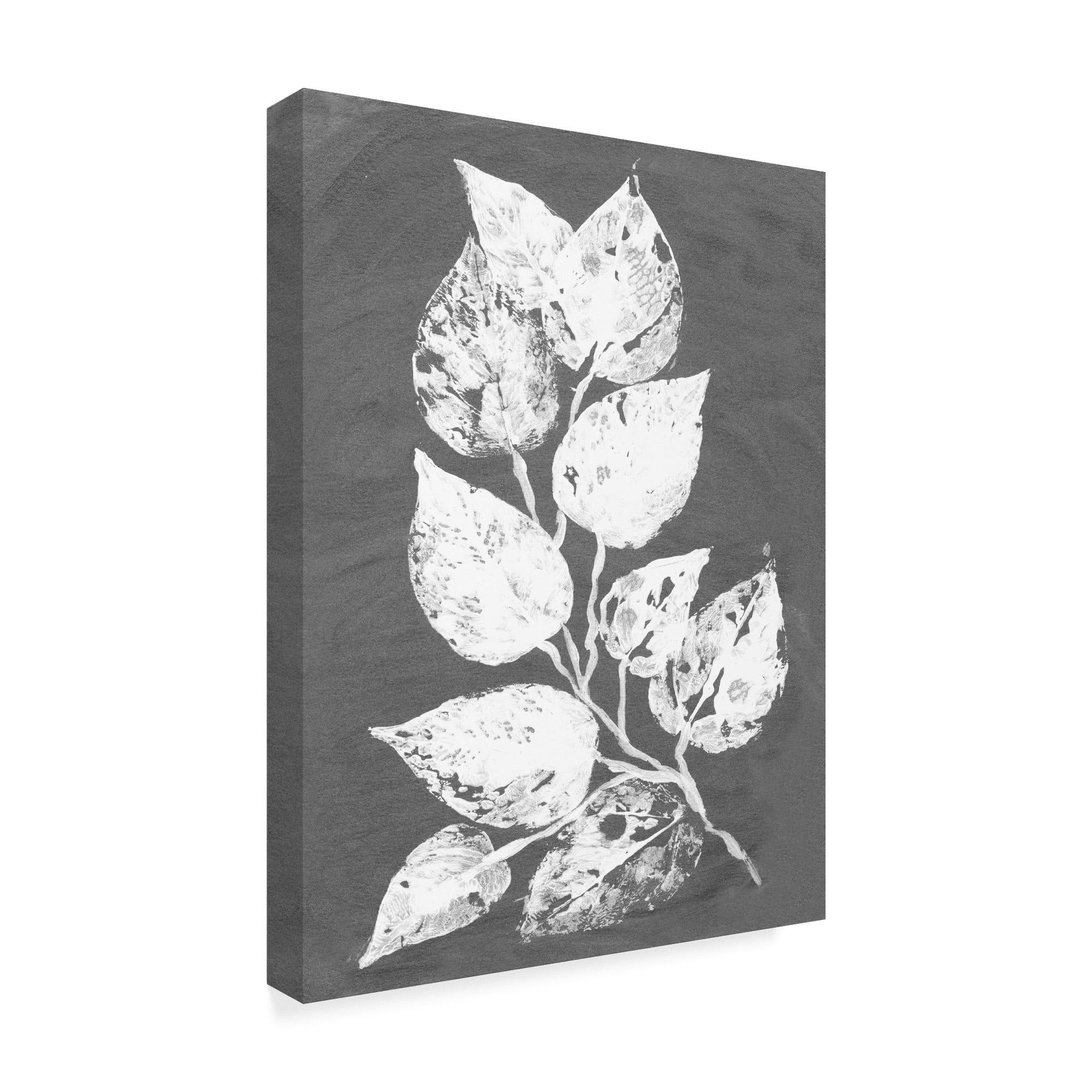 Trademark Fine Art 'Frosty Philodendron II' Canvas Art by Alicia Ludwig