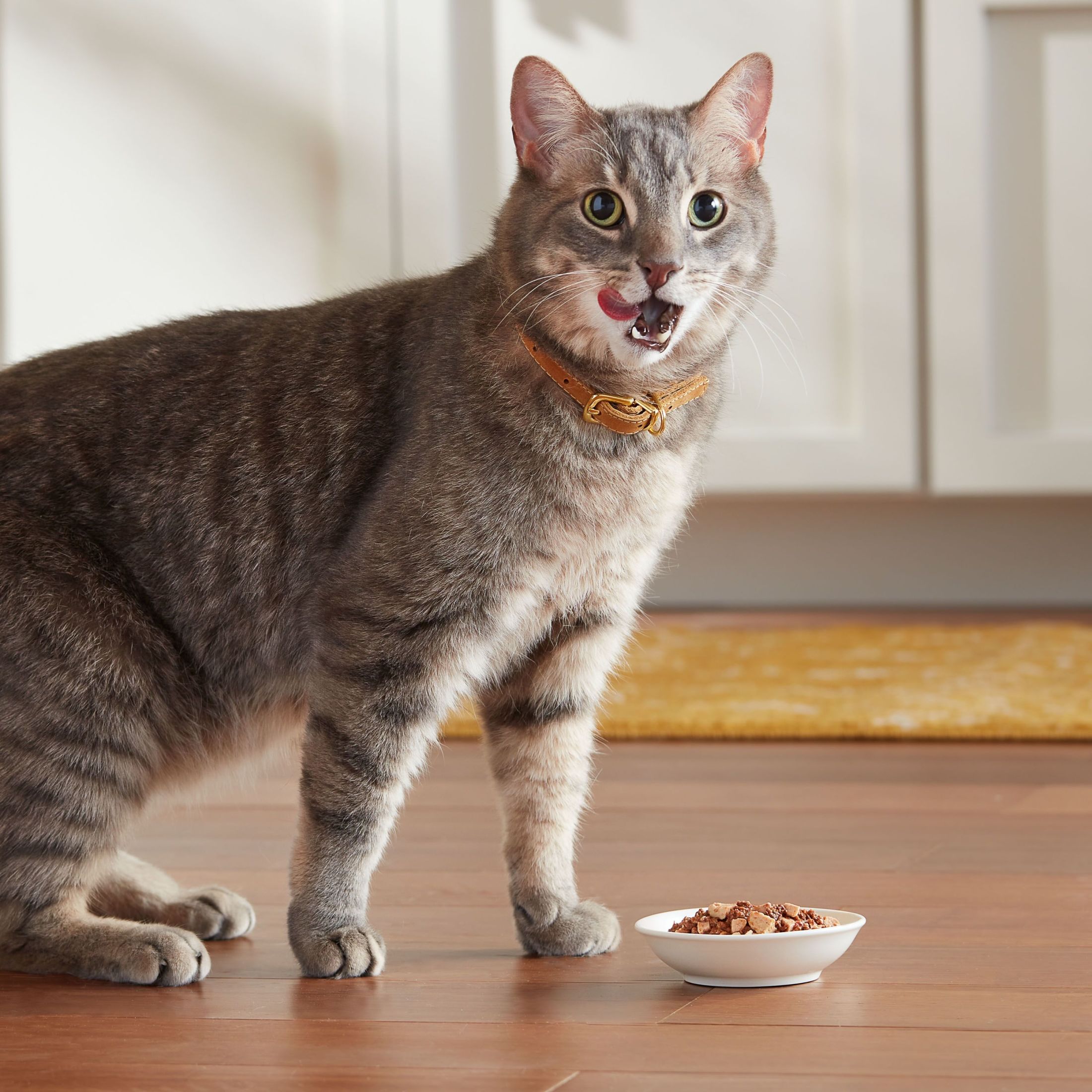 Meow Mix Poultry Selections Variety Pack Wet Cat Food photo 2