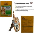 thumbnail image 4 of iger Balm Pain Relieving Patch Large 4 Each Pack of 11, 4 of 9