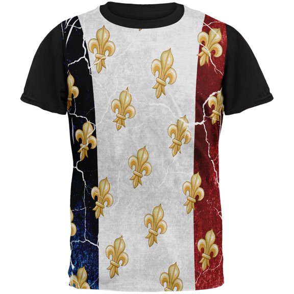 French Flag Grunge Distressed Fleur De Lis All Over Mens Black Back T Shirt Multi MD