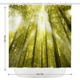 thumbnail image 2 of Sunshine Birch Forest Shower Curtain Nature Jungle Landscape Shower Curtains for Bathroom Decor, Waterproof Polyester Fabric Shower Curtain 72x72 Inch with 12 Hooks, 2 of 6