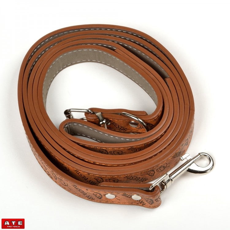 Leather Small Dog Leash