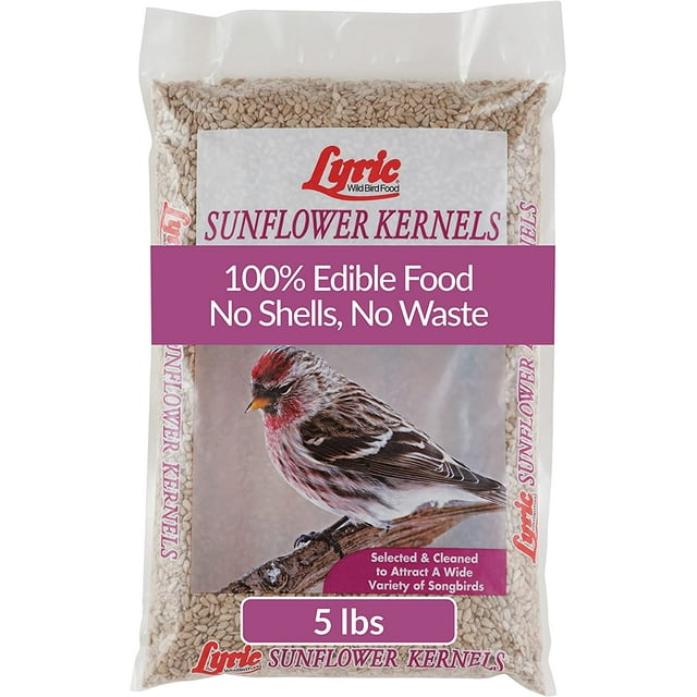 Lyric Sunflower Kernels Wild Bird Seed No Waste Bird Food Attracts