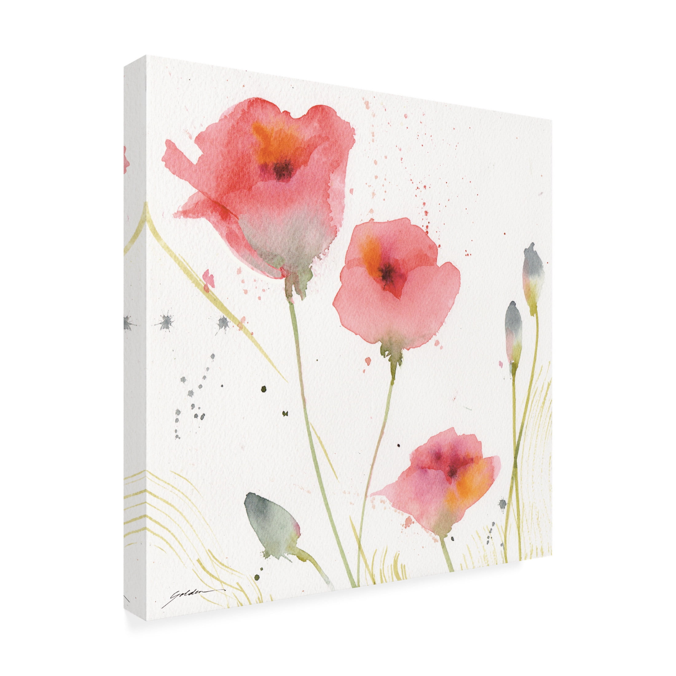 Canvas Wall Art - Sheila Golden 'Summer Dream' Wall Art for Living Room, Bedroom, or Office Décor by Trademark Fine Art - 24 x 24 Inches