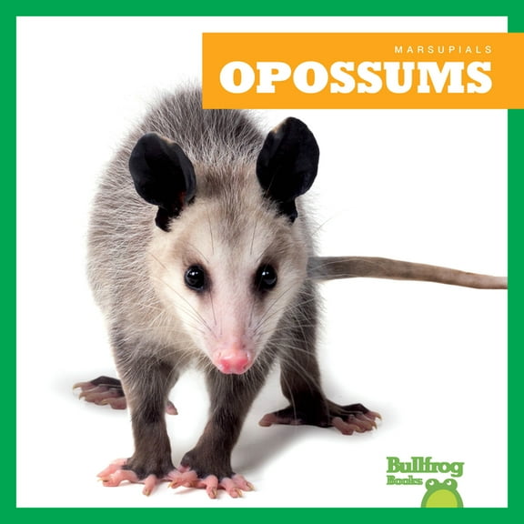 Marsupials Opossums, (Hardcover)