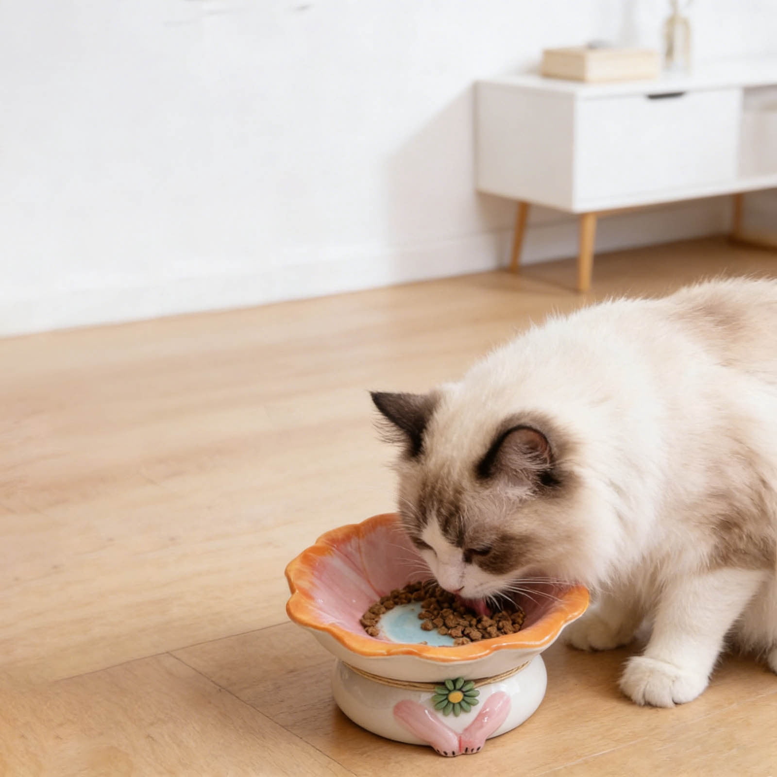 Elevated Ceramic Pet Bowl 15 Angle Shallow Dish Design for Improved Digestion and Spinal Health in Cats and Dogs