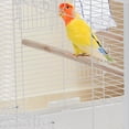 thumbnail image 2 of Spacious Metal Bird Cage with Play Top – Rolling Stand. Storage Shelf. -Out Tray – Flight Cage for Parrots. Cockatiels. Conures. Parakeets. Budgies. Lovebirds. Finches. Canaries – White, 2 of 8