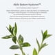 thumbnail image 2 of Pad ABIB Exfoliante Sedum Hyaluron Hydrating Touch 75 pzas 165 ml, 2 of 5