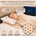thumbnail image 3 of Talatex 100% Natural Talalay Latex Pillow, Breathable Pressure Relief Pillow with Tencel Cover, No Memory Foam Chemicals, 3 of 7
