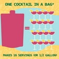 Sangria in a Bag Wine Slushie Mixes Each Bag Makes 1/2 Gallon of