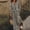 Grey, variant on mtvxesu Women Dresses for Summer, Women's Summer Sexy Print V-Neck Split Long Dress Denim Dresses