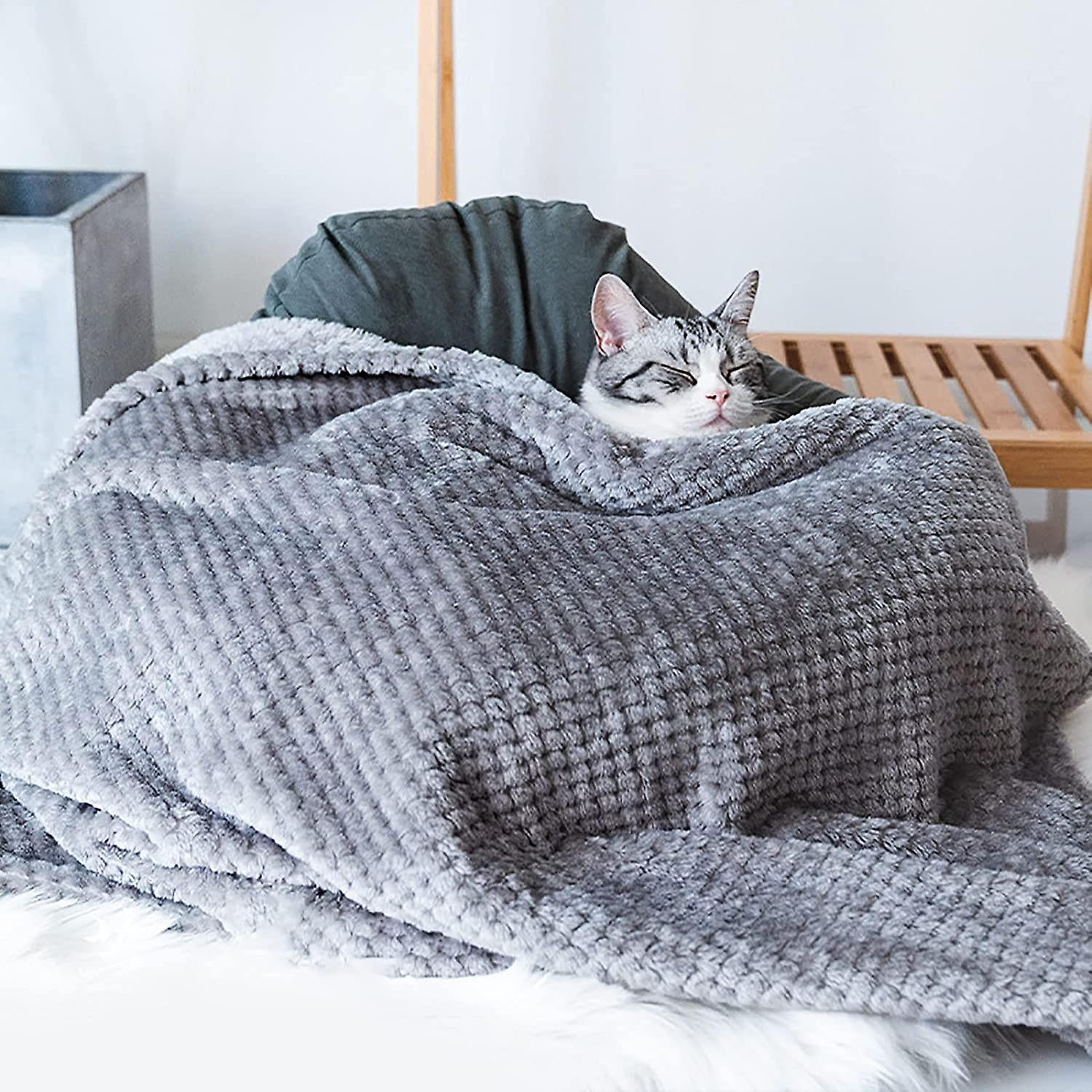 Fuzzy dog blanket hot sale