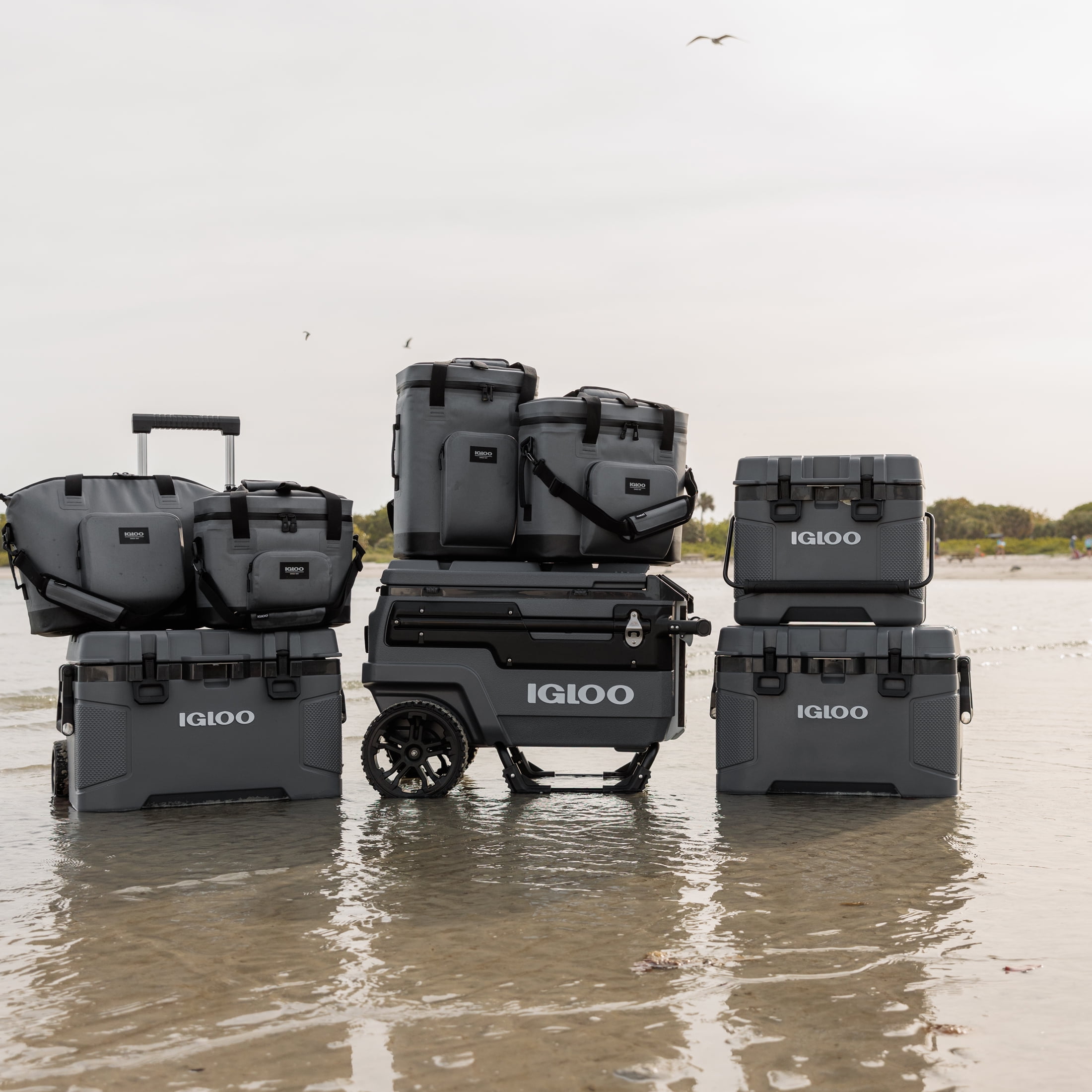 Igloo Trailmate 24-Can Tote Cooler Bag