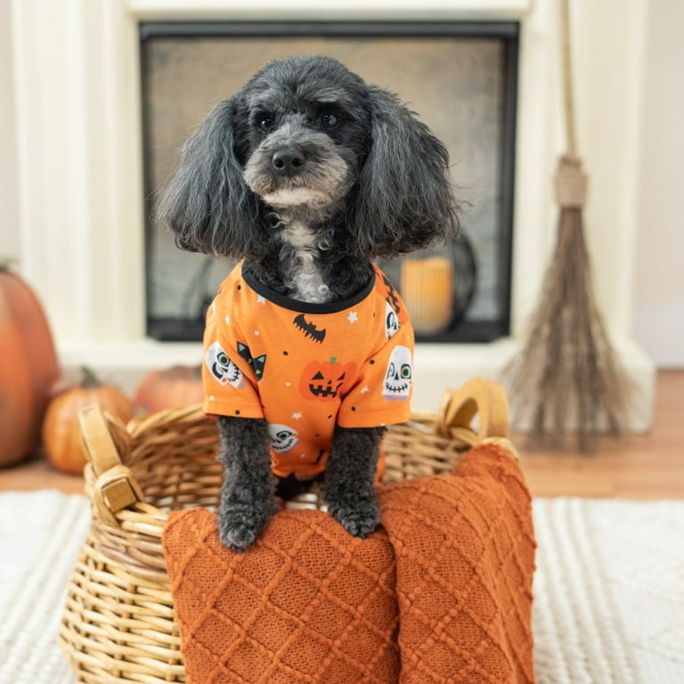 Vibrant Life Dog and Cat Clothes, Halloween Icons Pet Pajama, Orange, XS 