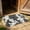 Gray, variant on Xheghe Cow Print Farmhouse Bathroom Mat - Soft Absorbent Non-Slip Rug for Laundry Room, Entryway, and Indoor Decor