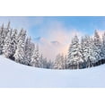 thumbnail image 2 of ABPHOTO Polyester 7x5ft White Accumulated Snow Woods Photography Backdrop Winter Chrestmas Photo Background, 2 of 3