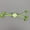 Green, variant on Cat Toy Net Tube Wrapped Rope Ball Jincong Ball Cat Self-Entertainment Toy Teasing Ball Cat Six-Claw Toy, Without Battery