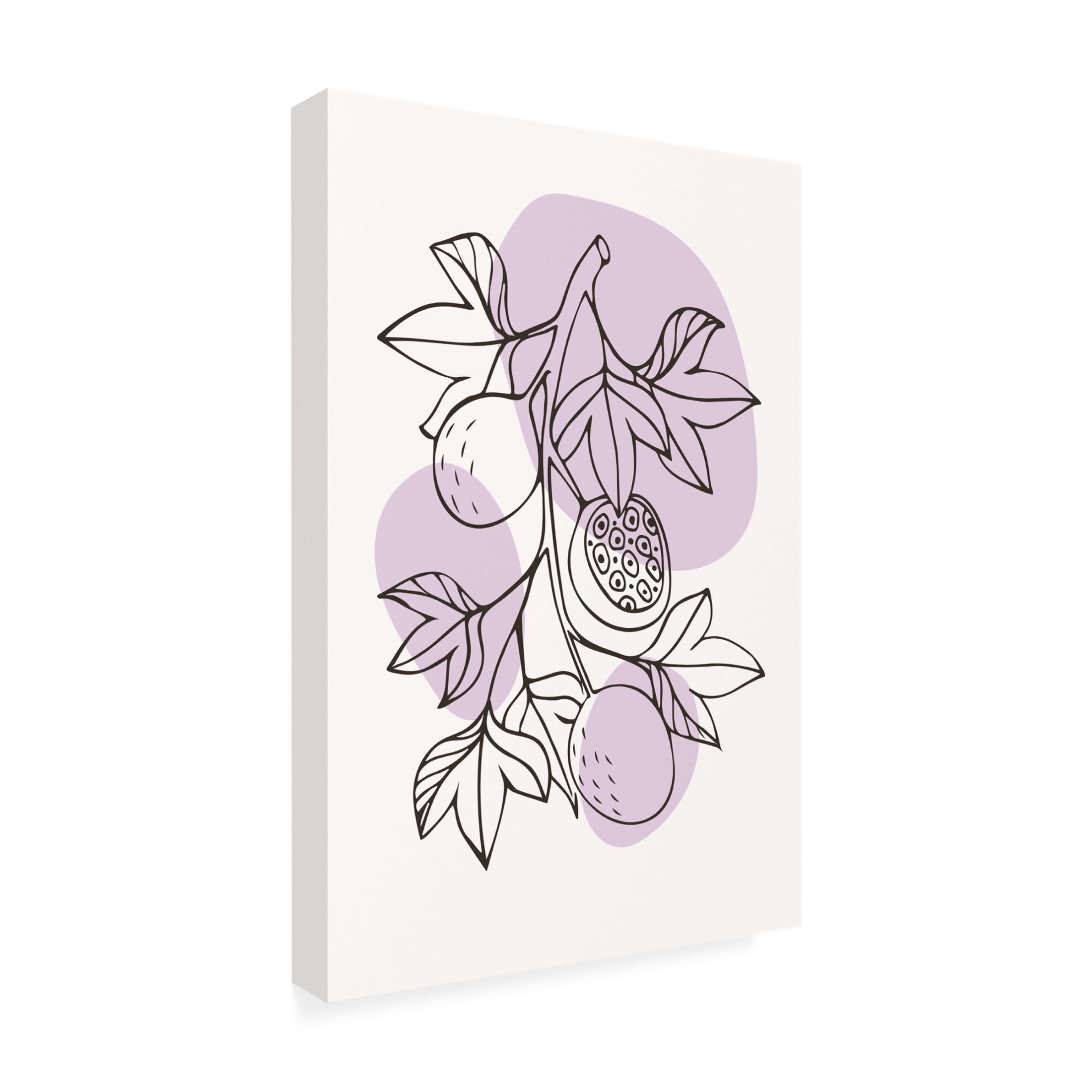 Trademark Fine Art jay stanley Boho Fruits 1 Canvas Wall Art
