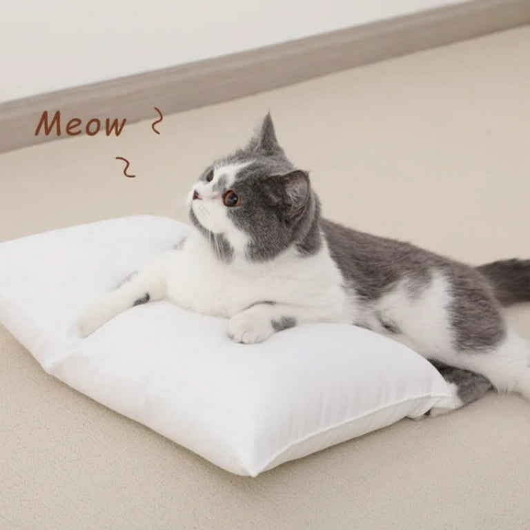 Mini Travel Pillows, Decorative Microfiber Throw Pillows, Neck and