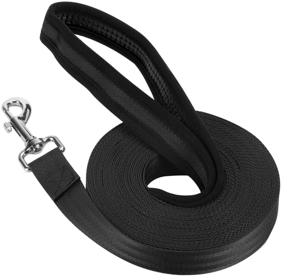 What Is A Dog Training Lead what-is-a-dog-training-lead