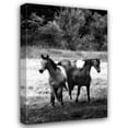 thumbnail image 1 of Alan Hausenflock 31x44 Gallery Wrapped Canvas Wall Art Titled - The Horses Three I, 1 of 4