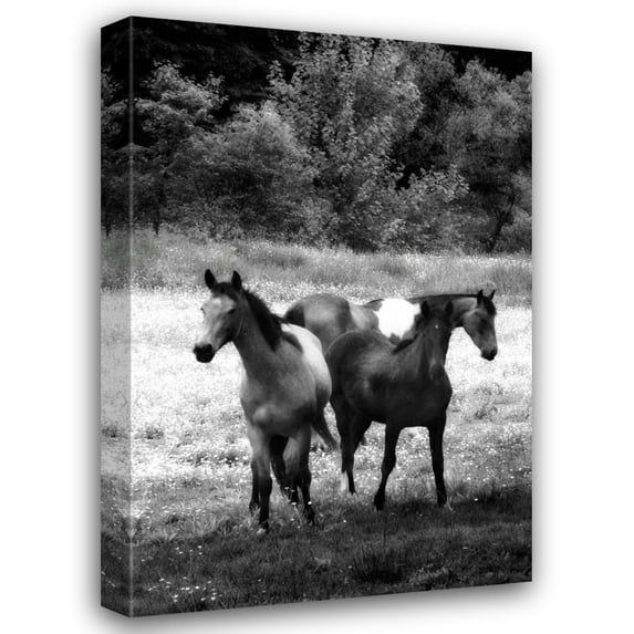 Alan Hausenflock 13x18 Gallery Wrapped Canvas Wall Art Titled - The Horses Three I