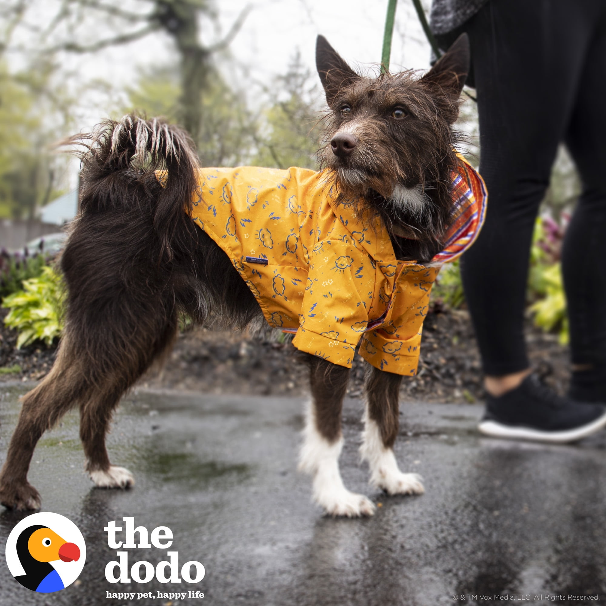 The Dodo Rainy Days Dog Raincoat Medium