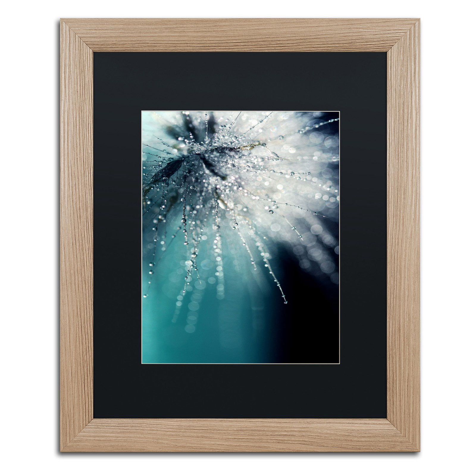 Trademark Fine Art "Morning Sonata" Framed Canvas Art by Beata Czyzowska Young