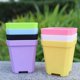 thumbnail image 4 of 20 Sets Succulent Plants Flower Pot Practical Plastic Pot(Random Color), 4 of 4