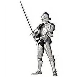 Takeyashiki 15th Century Gothic Field Armor Silver Action