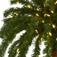 thumbnail image 5 of Nearly Natural 6' Prelit Christmas Palm Artificial Tree, 5 of 9