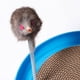 thumbnail image 5 of Almohadilla para rascar para gatos, juguete para gatos, cartón para rascar, juguete interactivo para gatos, postes para rascar, rascador, 5 of 5