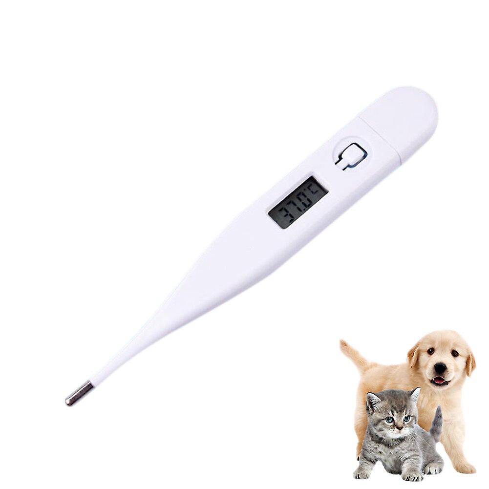 How To Take Dog Temperature With Human Thermometer