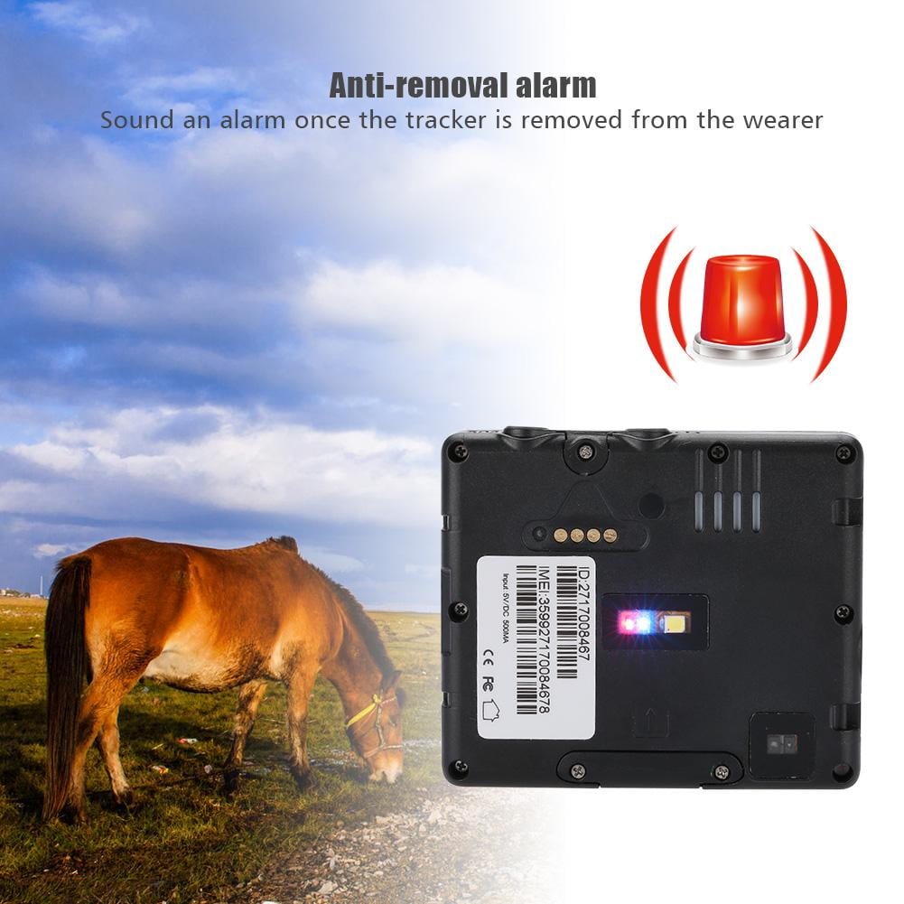 IP66 Solar Power Pet GPS Tracker GSM GPRS Locator For Cow Horse Wifi Location