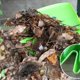 thumbnail image 5 of Cuchara para hojas Rastrillos manuales Agarrador de hojas Escombros Herramienta de eliminación de desechos de jardín Garra para césped Cuchilla para hojas Recoger hojas Cortar hierba Basura Jardinería Suministros agrícolas D esquí esquí Gafas de esquí, 5 of 5