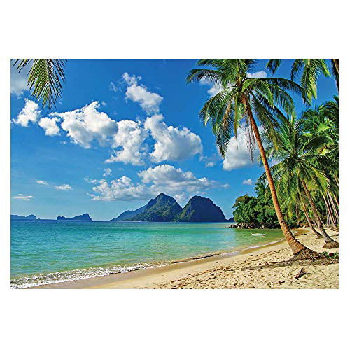 Tropical Beach Background Photography Backdrop Party 4.9 x 7.2 Feet Business Use Great for Studio Photo Wedding Booth 
