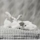 thumbnail image 2 of Dragon stuffed animal toy with wings, cute soft dragon pterodactyl plush toy dinosaur plush pillow doll, 2 of 4