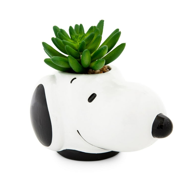 スヌーピー　セラミック Peanuts Snoopy Face Ceramic Mini Planter with Artificial