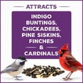 thumbnail image 3 of Pennington Pride Songbird Nut & Fruit Blend, Wild Bird Seed for Outside Feeders, Advanced Nutrition Formula for Bird Health, 10-lb. Bag, 3 of 4