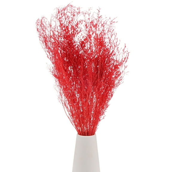 Uxcell Dried Flowers Bouquet 17" Dry Limonium Flower Bundle [Orange red, 60g]