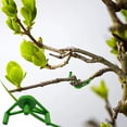 thumbnail image 5 of Matoen Adjustable Bending Low Stress Training Hydroponic Growth Device, 5 of 5