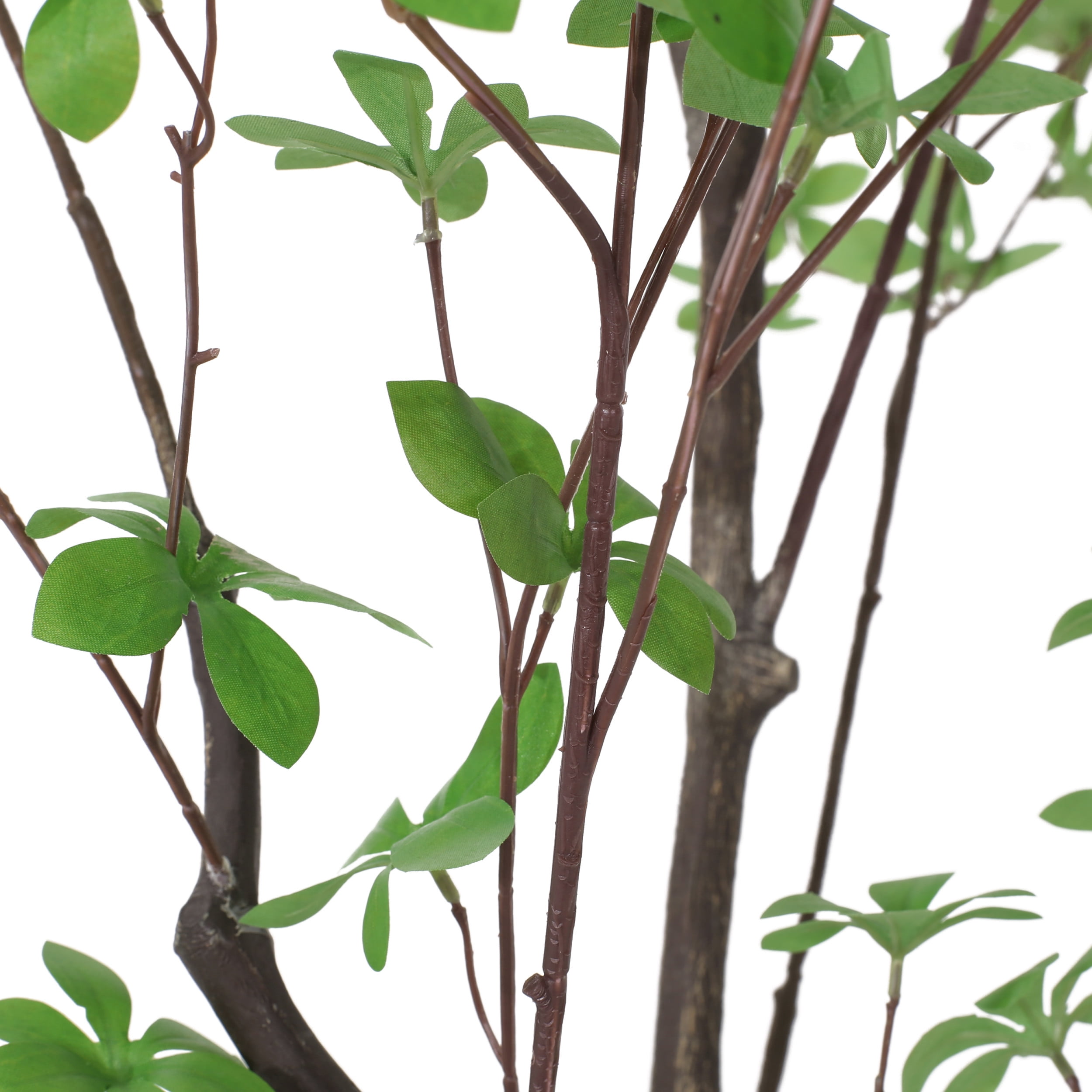 Noble House Coles 6' x 3' Artificial Enkianthus Tree, Green