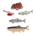 thumbnail image 3 of Juguetes del ciclo de vida del salmón, figuritas de animales de granja, material didáctico, ciclo de crecimiento cognitivo Animal, juego de rol educat, 3 of 8