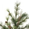 thumbnail image 2 of Vickerman 24" Mixed Country Pine Artificial Christmas Spray. Includes 2 sprays per pack., 2 of 4