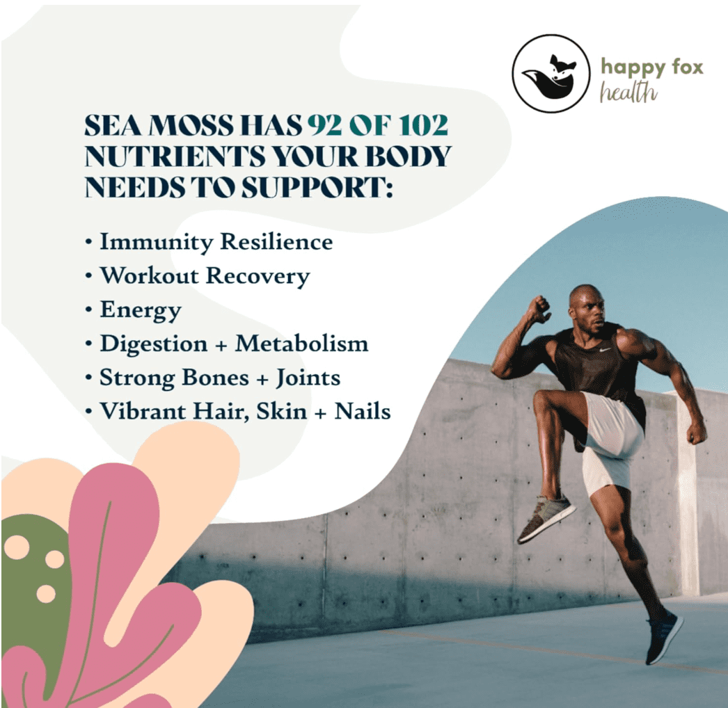 HAPPY FOX Sea Moss Raw Organic for Organic Seamoss Gel Makes 170oz of Dr Sebi Sea Moss Gel - Certified Non-GMO, Wildcrated Organic Raw Sea Moss - 6 Mos Supply of Seamoss Gel - 226 Gram Bag