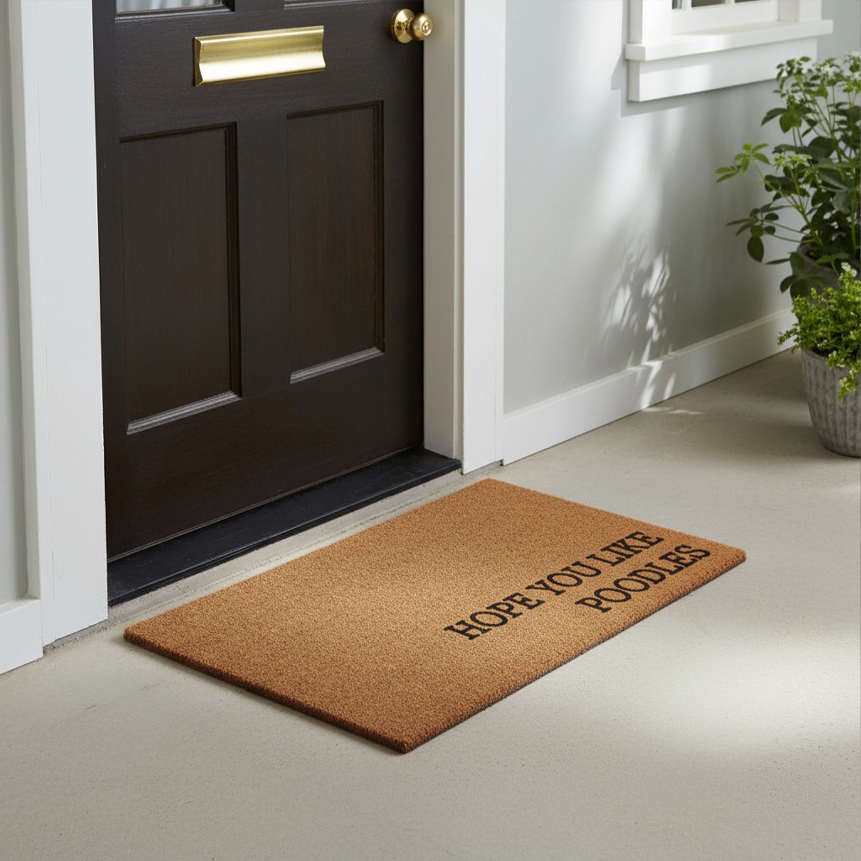 Hope You Like Poodles Non Slip Vinyl Backing, Front Door Mat, Entryway Door Mat, 24"x36"