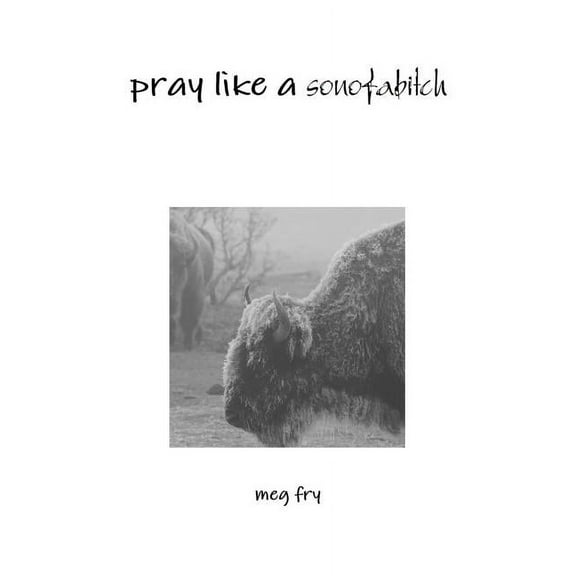 pray like a sonofabitch (Paperback)